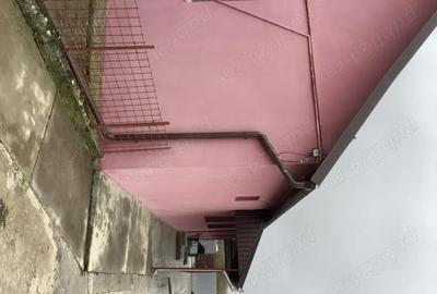 Casă cu 3 camere cu Teren 2180 Mp în Mișca - 3