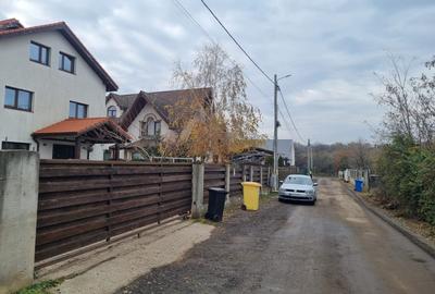 Vand 2500 mp in Branesti, strada Brazi in spatele lizierei, tpate utilitatile, - 3