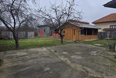 Casă cu Teren 6330 Mp în Poienari - 9