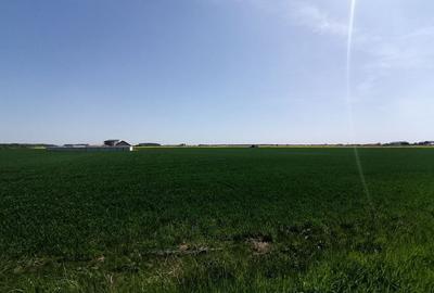 Teren intravilan 9313 mp in comuna 1 Decembrie - Ilfov Teren intravilan 9313 mp in comuna 1 Decembrie - Ilfov - 3