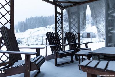 Spațiu comercial, de 600 mp, în Palanca - 11