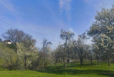 Casă cu 3 camere în Exterior Vest - 8