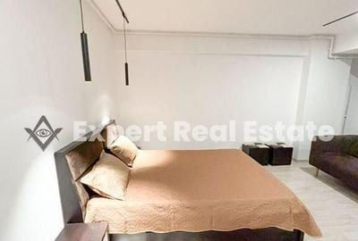 STUDIO MODERN OTOPENI-AEROPORT - 4