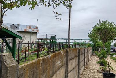 Casă + teren 4200 mp, vie, curent, fosa, anexă – Crevedia Mare, Giurgiu - 2