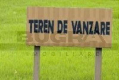 Teren de 1503 mp, în Europa - 4