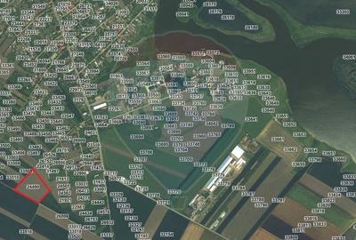 Teren intravilan - 17.500 mp - Gostilele Fundulea Teren intravilan - 17.500 mp - Gostilele Fundulea - 4