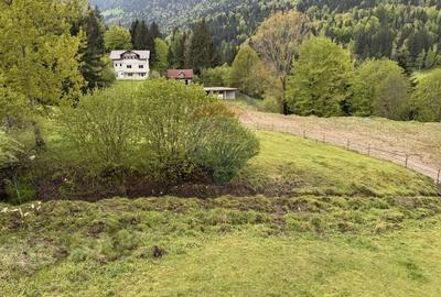 BORSA, MARAMURES -TEREN PENTRU PENSIUNE - 7