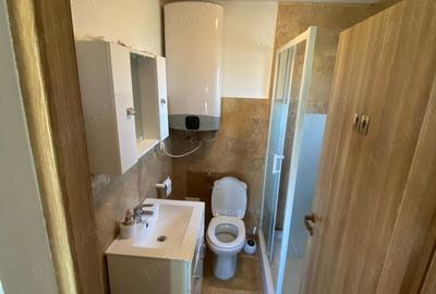 Casă cu 1 camere cu Teren 725 Mp în Dumbrăvița - 7