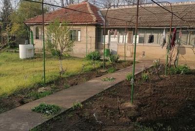Casă cu Teren 980 Mp în Movila Banului - 1