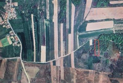 Teren extravilan de vanzare in Tileagd - 3166 mp cu panorama superba - 9