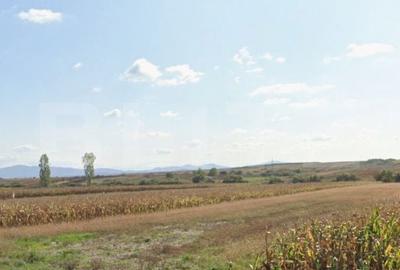 Teren de 6700 mp, în Pericei - 2