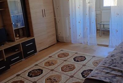 Garsonieră semidecomandată în Scărișoara - 4