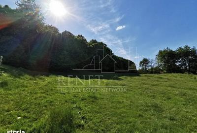 Spațiu comercial, în Bascov - 10