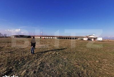 Teren de 390000 mp, în Iosefin - 19