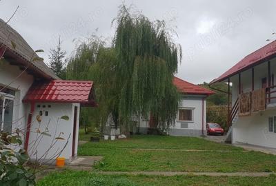 Vanzare casa+teren Valea Brazilor, Baiculesti, AG - 3