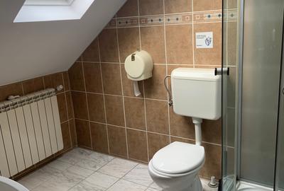 Stefan cel Mare -- Tei, spatiu de birouri in vila, 135 mp - 9