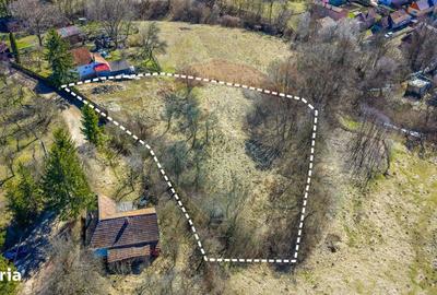 Spațiu comercial, în Vâlcele - 6