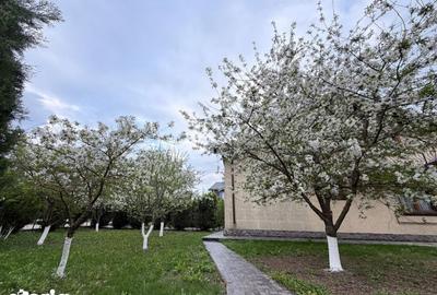 Casă cu 5 camere cu Teren 850 Mp în Snagov - 10