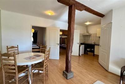 Transilvania Camping,domeniu de 14.400mp,Sanmarghita de Mures:2cladiri, apartame - 19