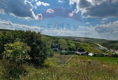 Teren de vânzare – 2.900 mp, Dezmir | Acces la două străzi, Comision 0 - 2