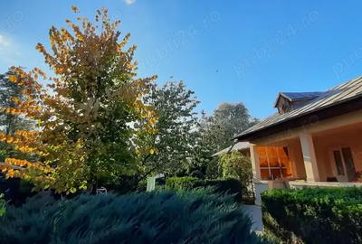 Case + teren 3000mp. de vanzare - 2