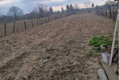 Casă cu 3 camere în Cotu Vameș - 3