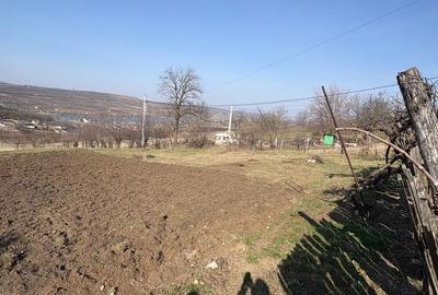 Teren de 2000 mp, în Aroneanu