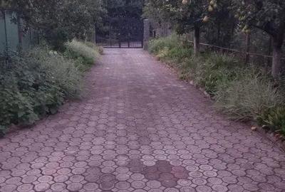 Dambu Pietros - Vanzare casa - Str. Calea Sighisoarei - 3