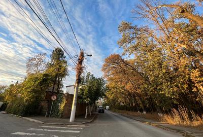 Teren Colentina - Padurea Andronache Teren Colentina - Padurea Andronache - 1