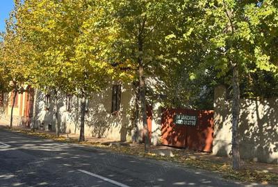 Proprietar vand casa + teren 2500 mp in zona centrala SANNICOLAU MARE - 5