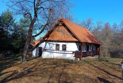 Proprietar, casa de vacanta de vanzare - 1