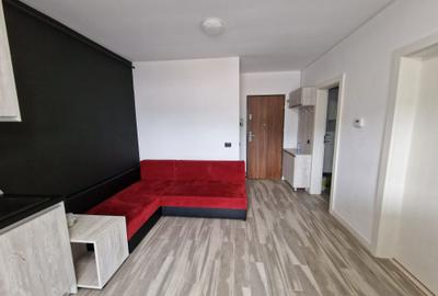 Apartament decomandat în Noua - 8