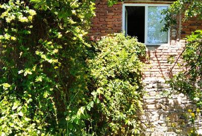 Vand casa la munte - 1