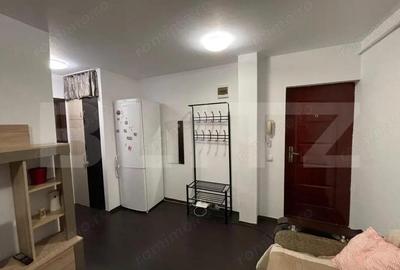 Apartament cu 2 camere decomandat, mobilat în George Enescu - 4