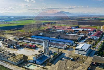 De inchiriat spa?iu pentru depozitare 300mp + curte 650mp Feldioara - 4