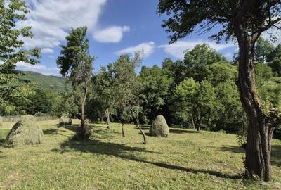 Teren de 2900 mp, în Secăria - 3