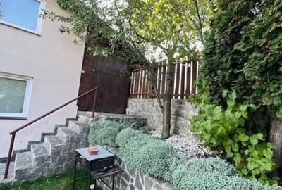 Cabana cu 4 dormitoare, foisor, ciubar, Statiunea Muntele Baisorii - 5