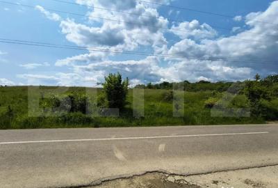 Teren de 5000 mp, în Teișani - 7