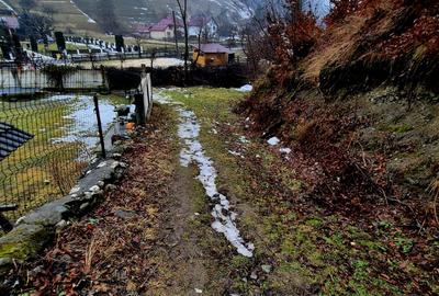 Teren intravilan Simon/Bran, 4318 mp , casuta intabulata, utilitati - 36