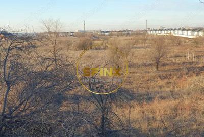 TEREN INTRAVILAN BRAGADIRU 5000mp| SOSEAUA ALEXANDRIEI | DESCHIDERE LA 2 STRAZI - 18