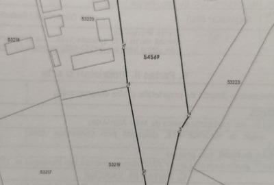 Teren de 1750 mp, în Bogata - 1