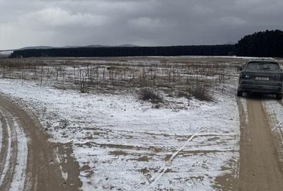 Spațiu comercial, în Reci - 3