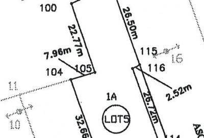 Loc pentru casa cu utilitati la 500m de padure, Ciofliceni - Snagov! Loc pentru casa cu utilitati la 500m de padure, Ciofliceni - Snagov! - 11