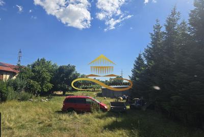 Teren pentru investitori la Calea Romanului 9000 mp - 15
