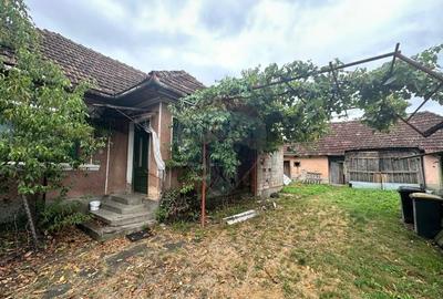 GOSPODARIE VECHE cu 30 arii TEREN- SE VINDE - 1