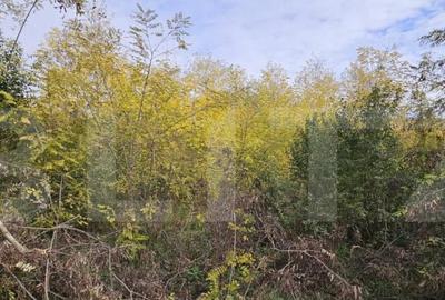 Teren intravilan in Comuna Razvad 1950mp cu acces la princip - 4