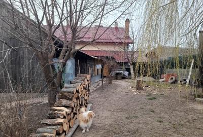 Casă cu 5 camere cu Teren 2600 Mp în Mitocu Dragomirnei - 5