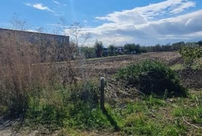 Teren intravilan 4600pm Focsani - 3