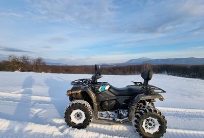 Proprietate specială, de 84 mp, în Dumbrăvița - 13