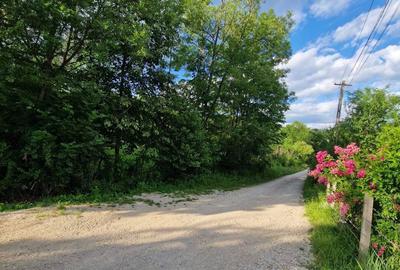 Spațiu comercial, în Moțăieni - 3